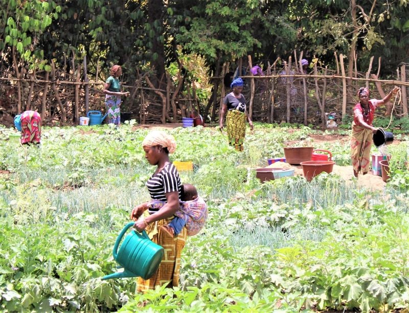 Mothers with children enrolled in ChildFund’s programs water their crops.