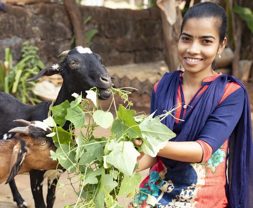 FY21 A Breeding Pair of Goats_Resized(1).jpg