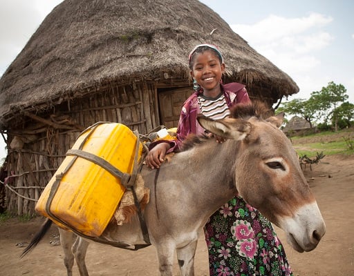 1 Donkey for a Family