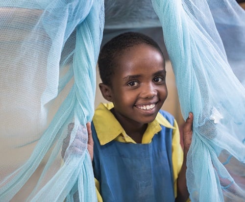 24 Mosquito Nets