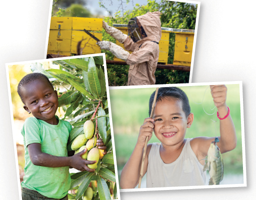 FY26 sustainablesolutions.jpg