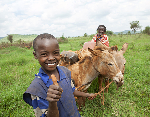 2 Donkeys for a Family